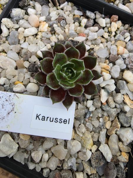Karussell